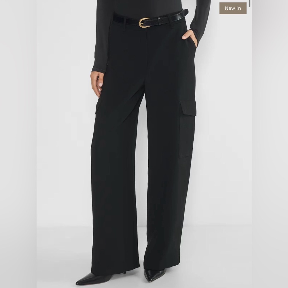 Wilfred Bridger Cargo Pant By Aritzia size 6 - Picture 5 of 14